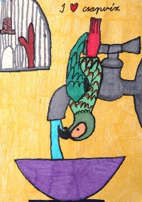 Szűcs Dániel 2.o / Móricz Zsigmond Általános Iskola /Győr-Szentiván/ felkészítő tanár: Zentainé Horváth Eszter