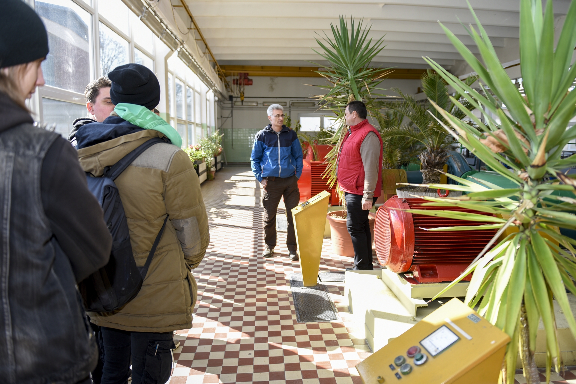 Szivattyúk, csövek és növények